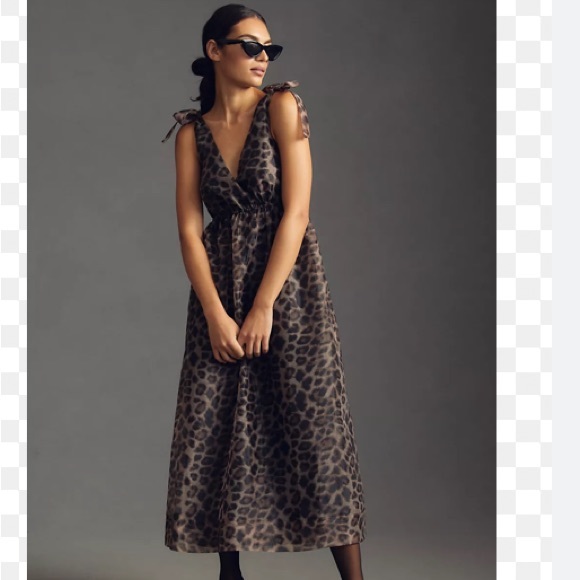 Daniel Rainn V-Neck Organza Dress - Picture 2 of 11